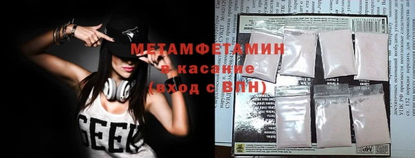 индика Белокуриха