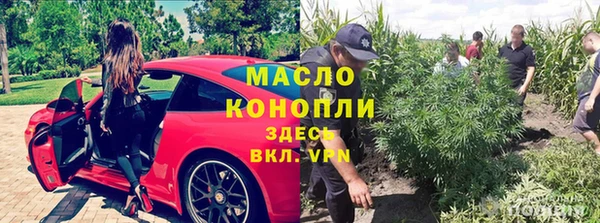 индика Белокуриха
