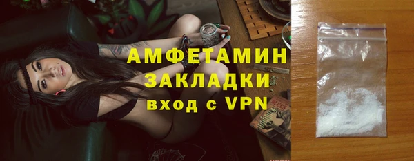 индика Белокуриха