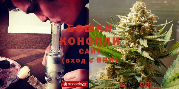 индика Белокуриха