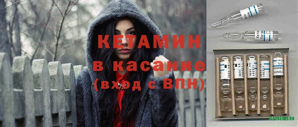 индика Белокуриха