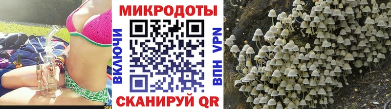 Псилоцибиновые грибы мицелий  Магас 